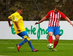 爱游戏下载-西班牙冠军阵容